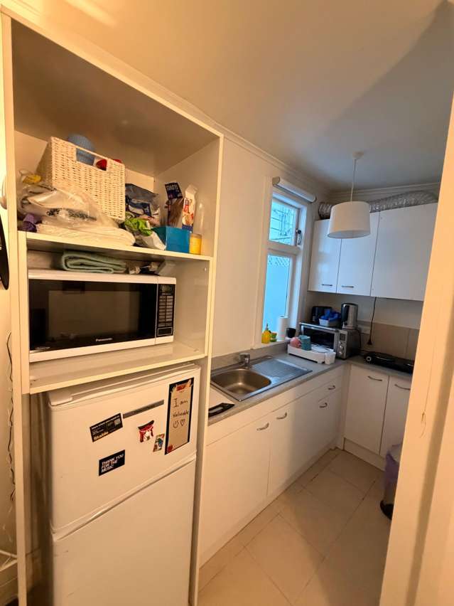 G/31 Patanga Crescent Thorndon_3