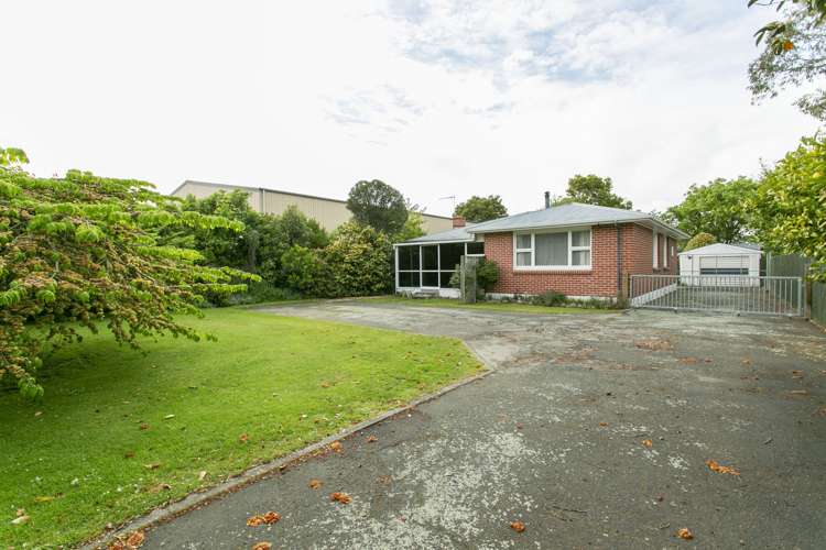 83 Peters Street Hinds_14