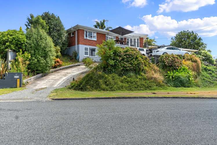 17 Bledisloe Avenue Putaruru_13