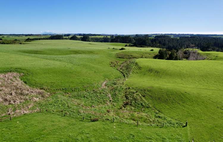 149 Paerewa Road Waverley_19