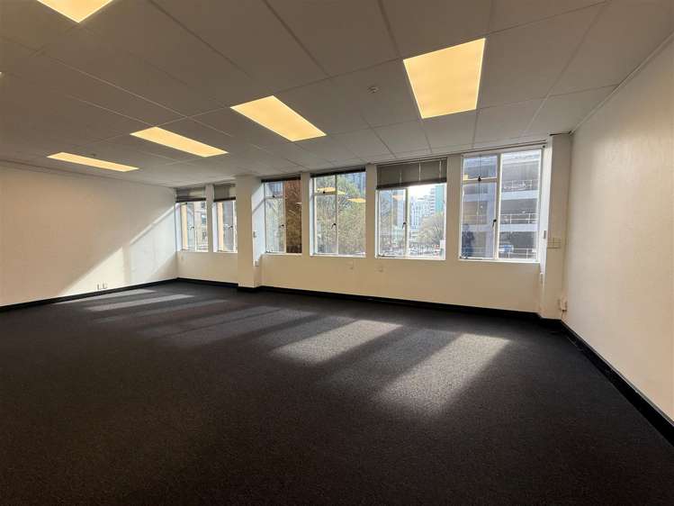 Level 1, 85 Ghuznee Street Te Aro_8