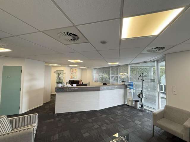 3 Ely Avenue Remuera_1