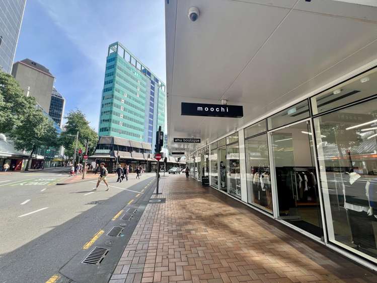 115 Victoria Street Te Aro_10