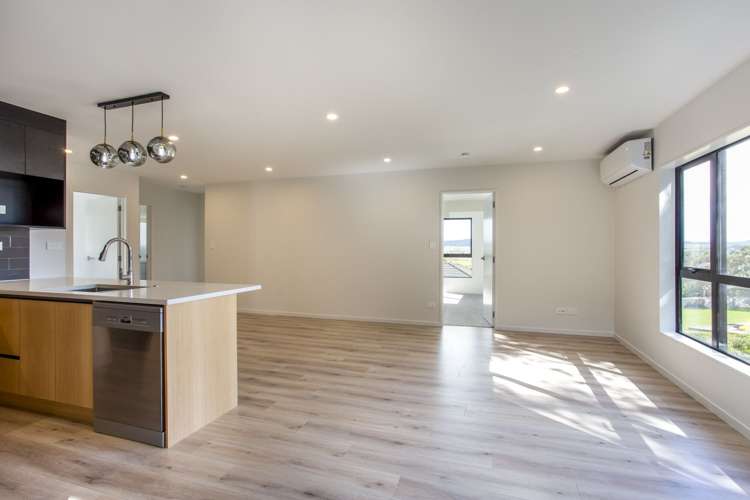 33b Saint James Avenue Helensville_2