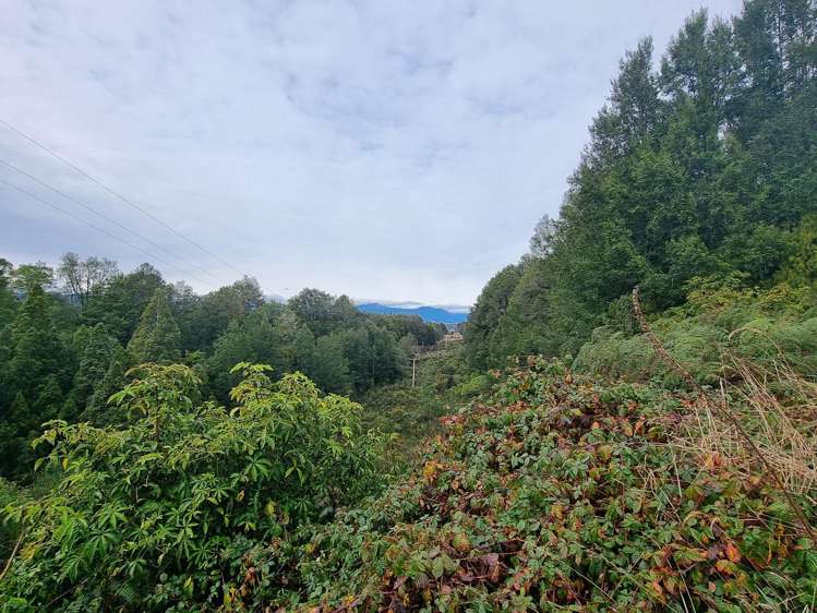 331 Arnold Valley Road Moana / Lake Brunner_9