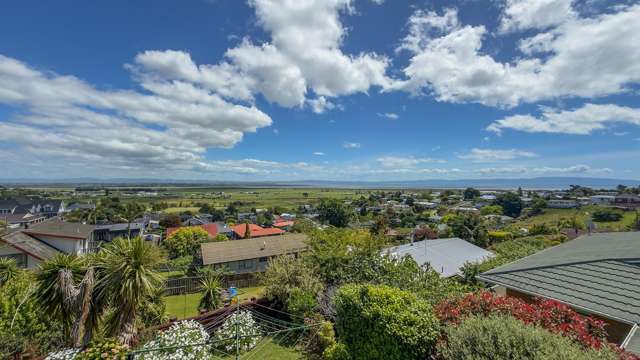 222 Reservoir Road Thames_1