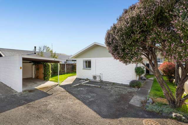 3/196 High Street Blenheim_2