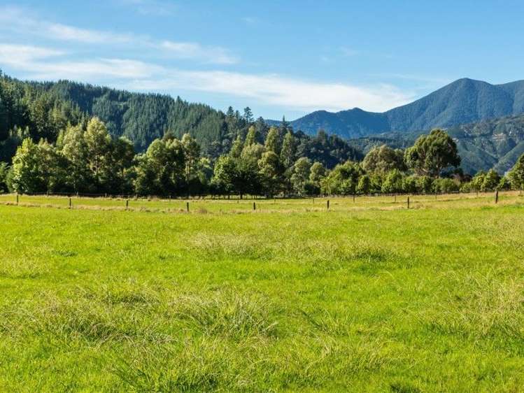 216 Para Road Picton_8