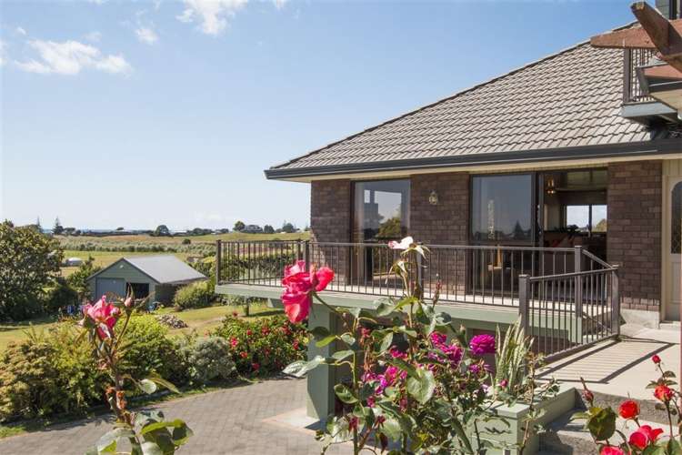 90d Citrus Avenue Waihi Beach_5