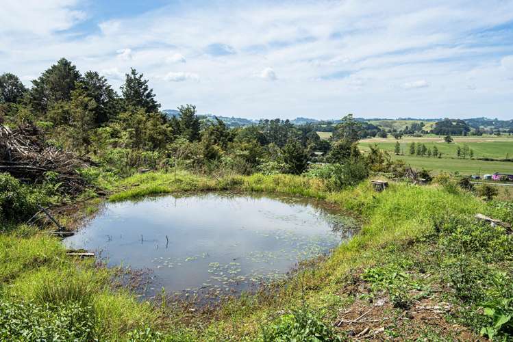 Puhipuhi Road Whakapara_8