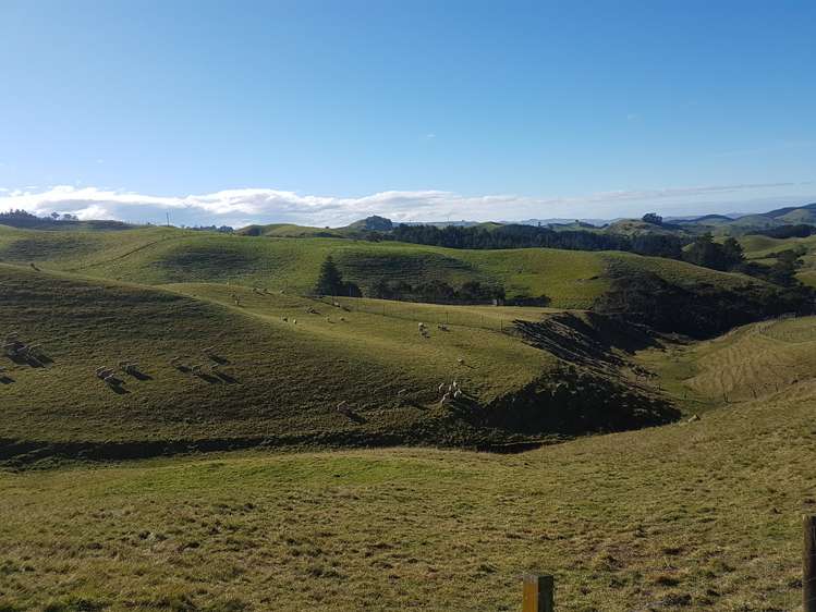 78 Flag Range Road Sherenden_14