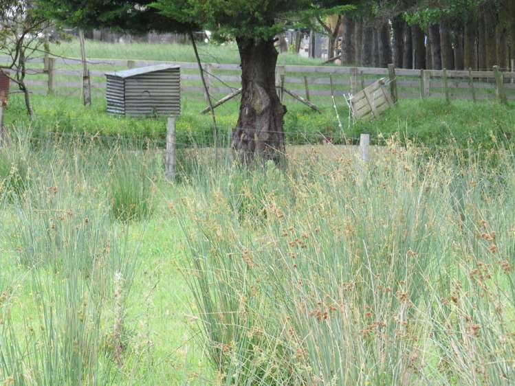 569 Taonui Road Feilding_3