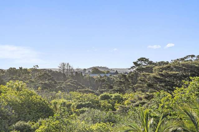 51 Fern Glen Road South St Heliers_2
