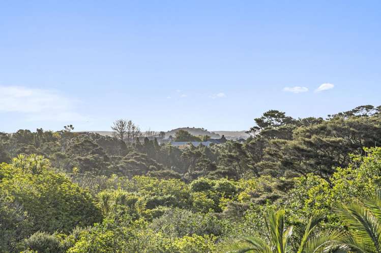 51 Fern Glen Road South St Heliers_1