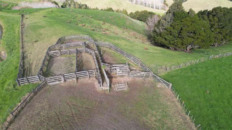 78 Otioro Road Topuni_14