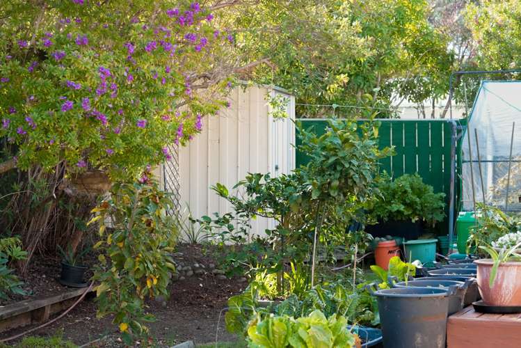 83 Queens Road Waikanae Beach_14