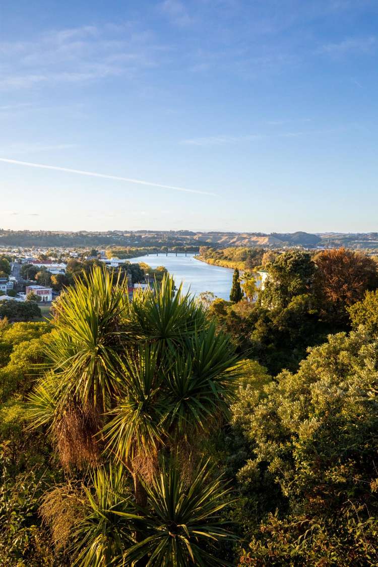 12 Hipango Terrace Durie Hill_21