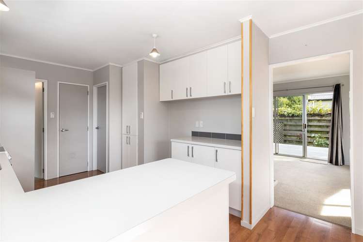 21b Murphys Road Springlands_5