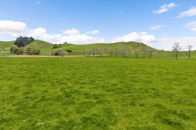 58 Nicholson Road Piarere_16