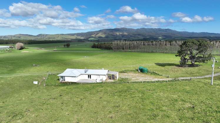 1807 Kahutara Road Kahutara_16