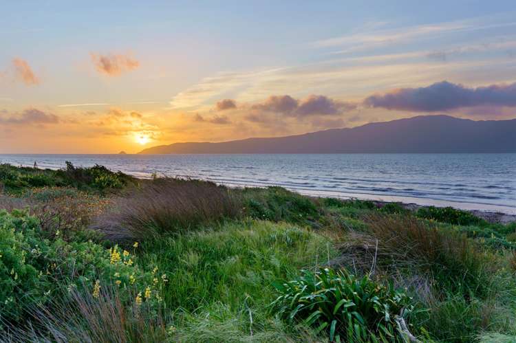 31 Oratia Street Waikanae Beach_28