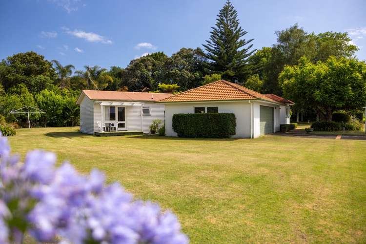 309 Plummers Point Road Whakamarama_29
