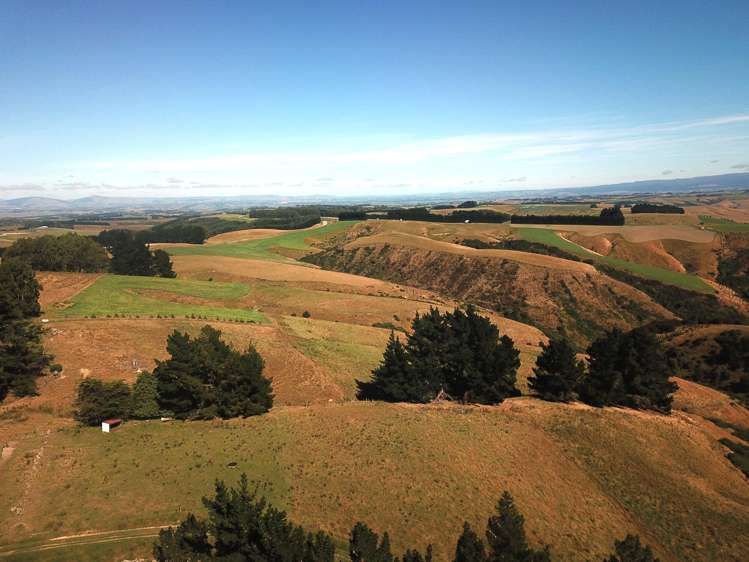 890 Mount Stuart Road Balclutha_10