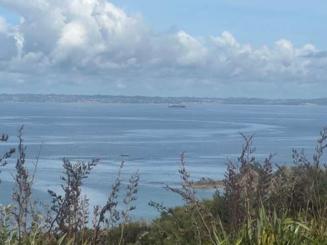 7 Askew Avenue Rakino Island_2