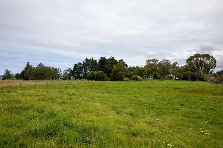 657 Domett Road Domett_40