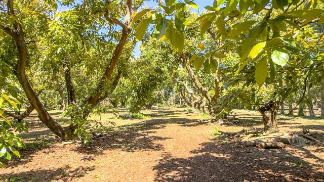 25 Orua Lane Whenuakite_4