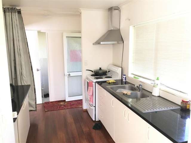 11a Albrecht Avenue Mount Roskill_2