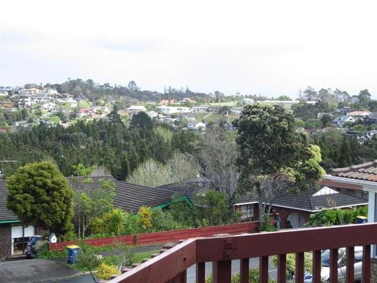 53 Chelsea View Drive Chatswood_10