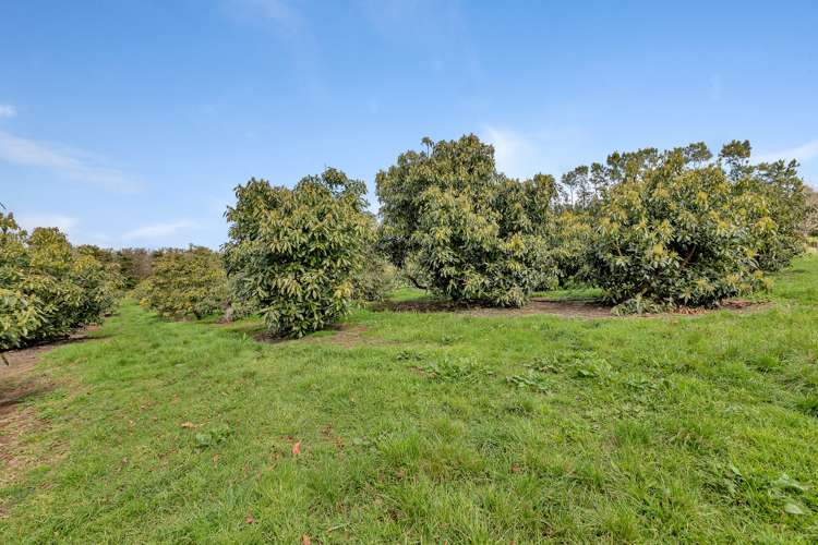 77 Te Kowhai Drive Maungatapere_39