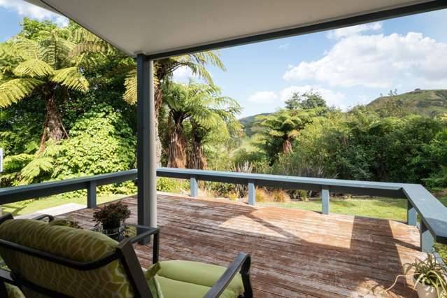 117 Bulltown Road Waihi_1