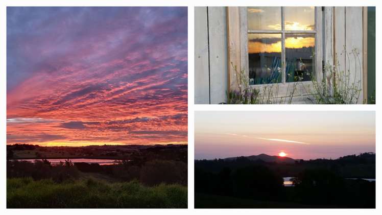 208 Petley Road Paparoa_28