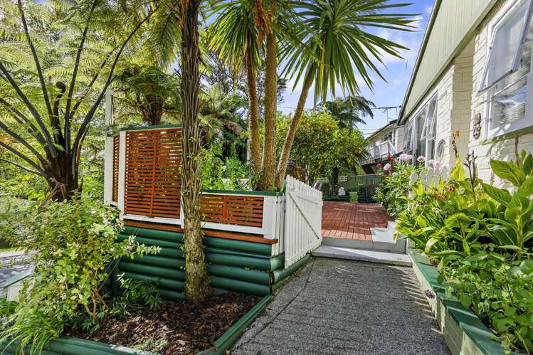 539 Stokes Valley Road Stokes Valley_3