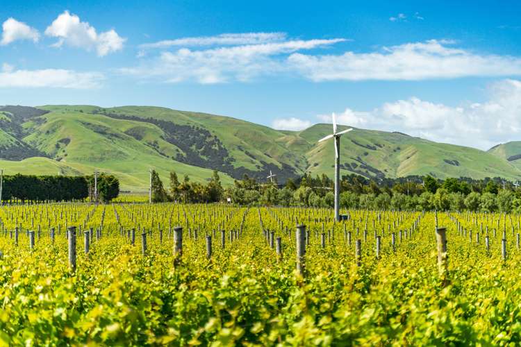 224 Te Muna Road Martinborough_19