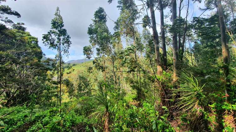 101a Peria Road Peria_17