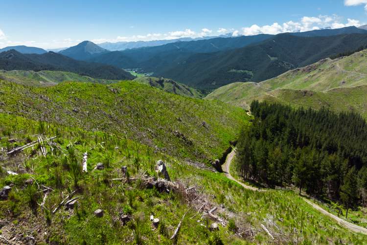 Waihopai Valley Road Waihopai Valley_10