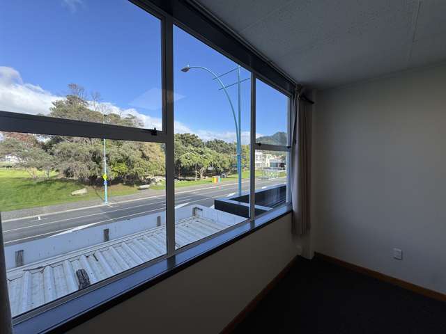 229B Maunganui Road Mt Maunganui_2