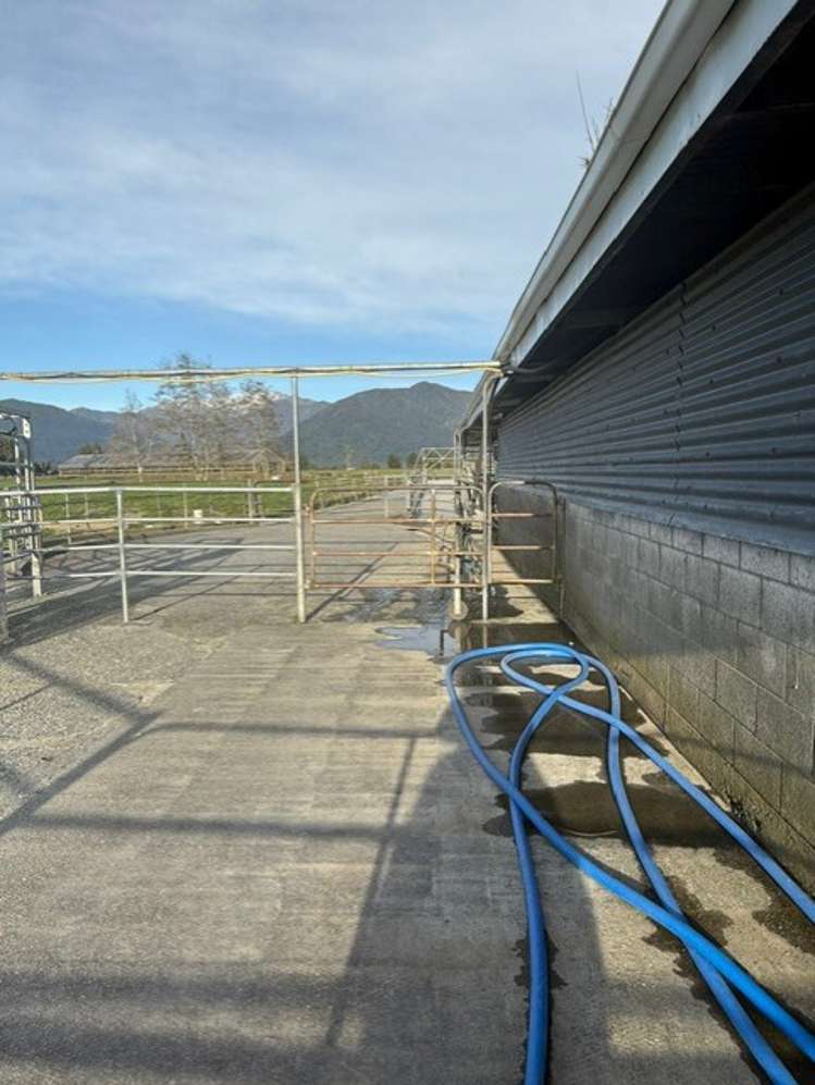 192-306 Johnston Road Kowhitirangi_9