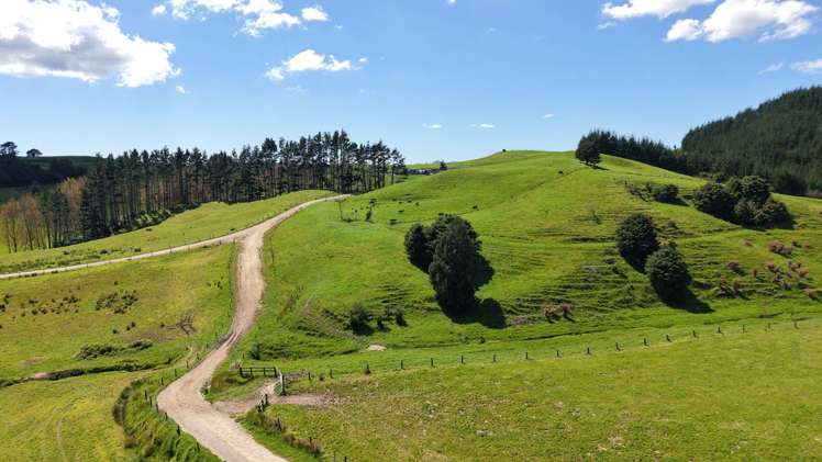 337 Mill Road Kawakawa_15