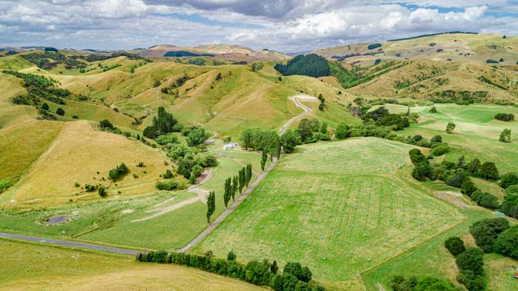 28 North Road Mauriceville_8