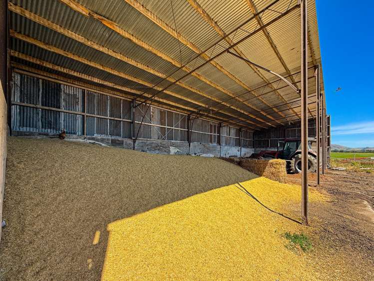 10 Roy Road Clutha_13