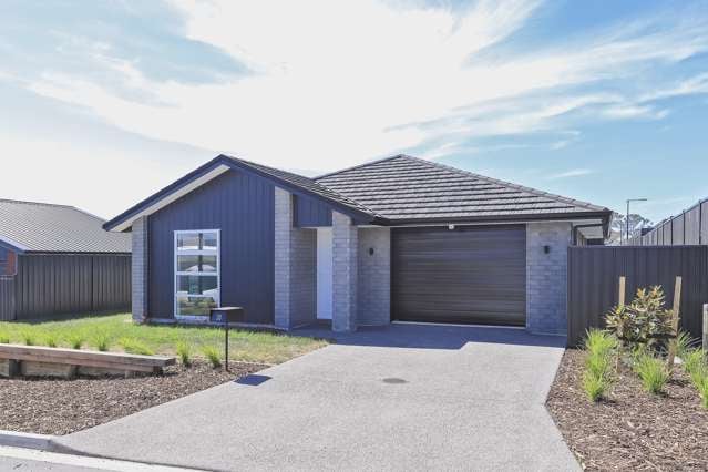 20 Pioneer Crescent Omokoroa_3