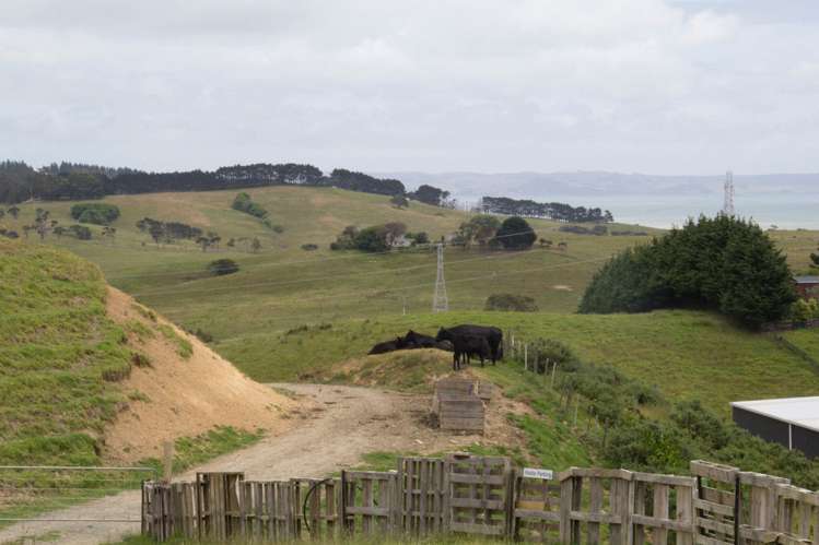 3002a Kaipara Coast Highway Glorit_19