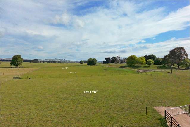 96A, B, C, D Farm Road Waipukurau_3