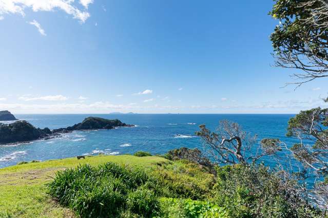 49 Dolphin Place Tutukaka_2