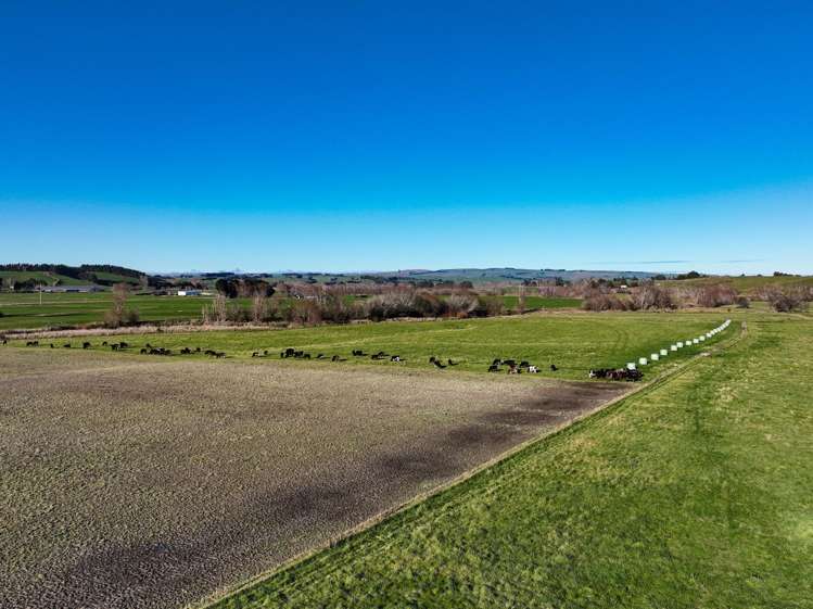379 Waikaka Road Maitland_7