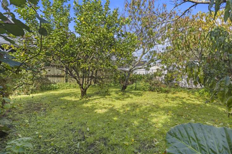 224 Richmond Road Grey Lynn_14